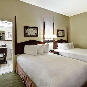 Suite Two Double Beds Non-Smoking